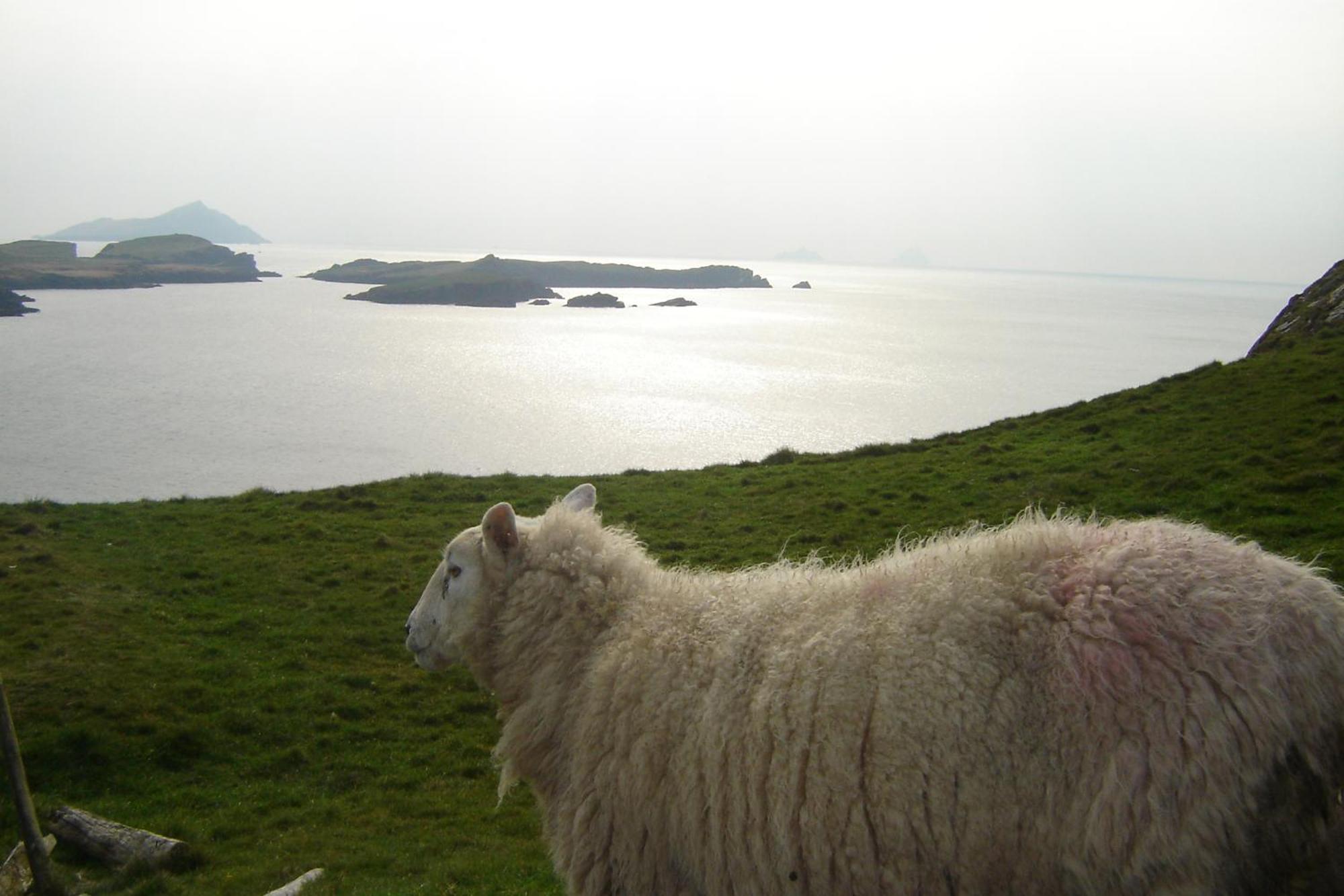 Carraig Liath House Frühstückspension 4*