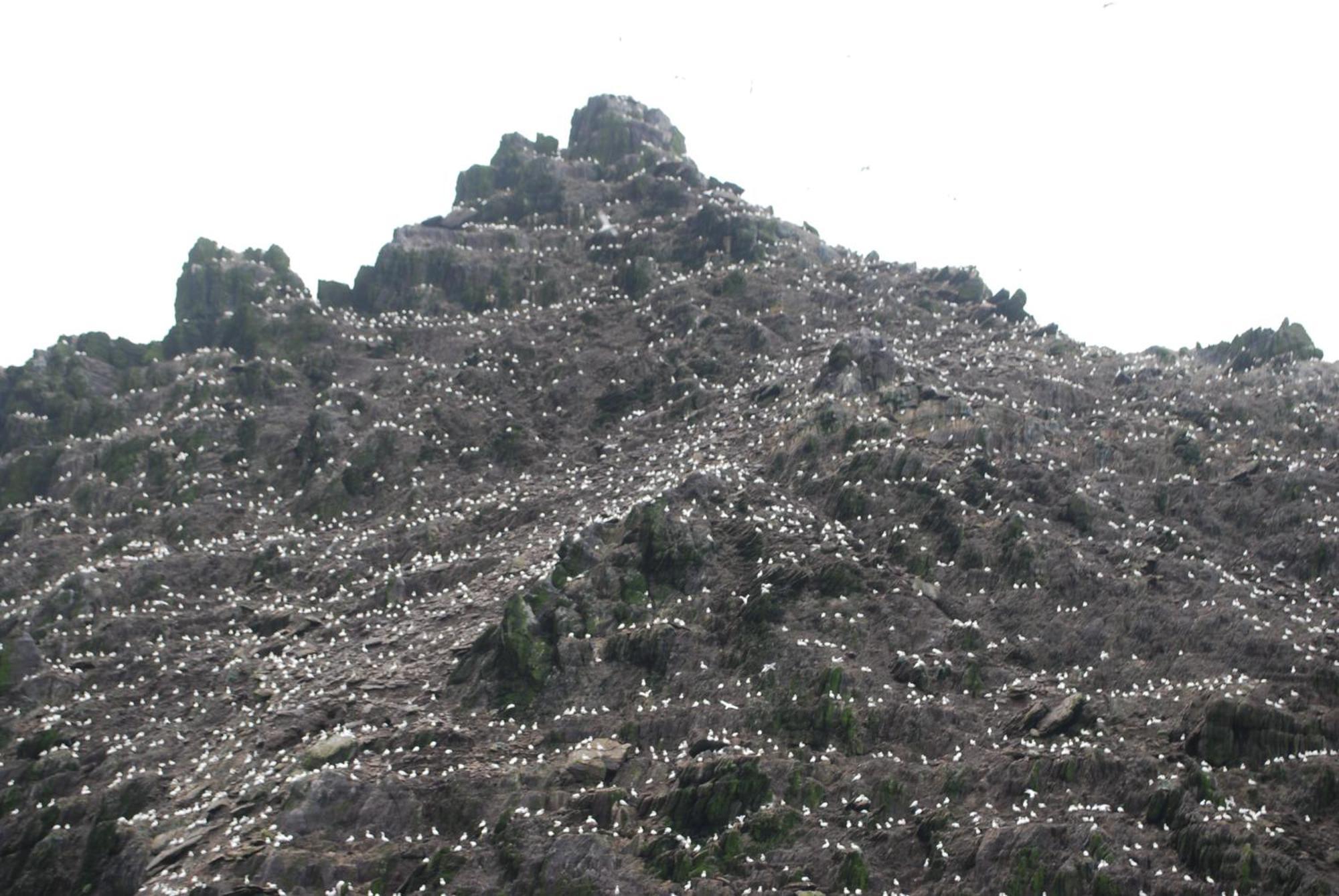 Frühstückspension Carraig Liath House Clynacartan