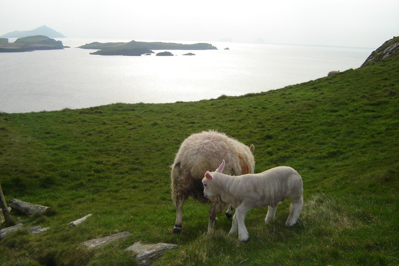 Carraig Liath House 4* Clynacartan